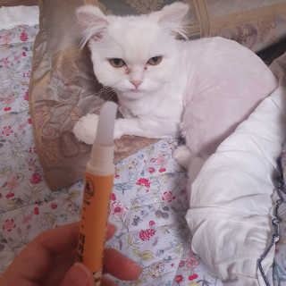 다다님이 올린 리뷰 사진 1