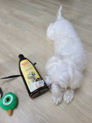 홍홍홍님이 올린 리뷰 사진 4