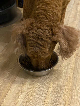 짱아둥이님이 올린 리뷰 사진 4