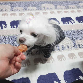 두부님이 올린 리뷰 사진 3