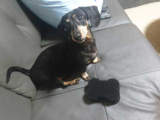 mgpc1004님이 올린 리뷰 사진 1