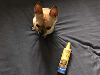 버츠비 이치수딩 스프레이 — 4점을 준 리뷰어가 2020년 10월 올린 사용 사진
