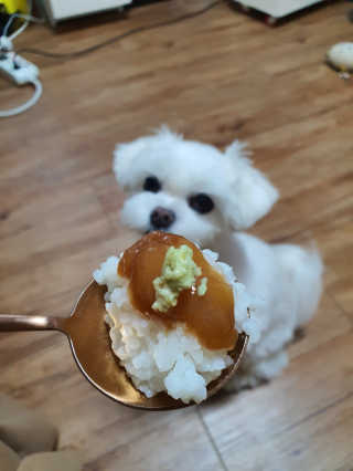 뽀오오옹님이 올린 리뷰 사진 1