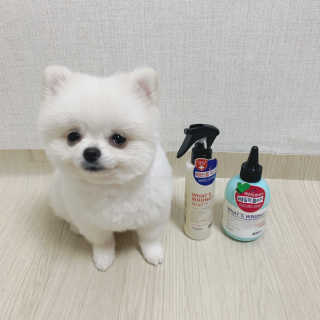콩두부자매님이 올린 리뷰 사진 1