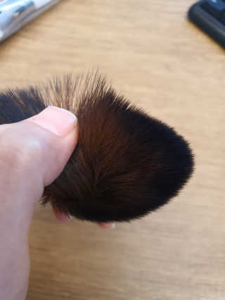 쮸동비님이 올린 리뷰 사진 4