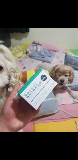 콜보리님이 올린 리뷰 사진 1