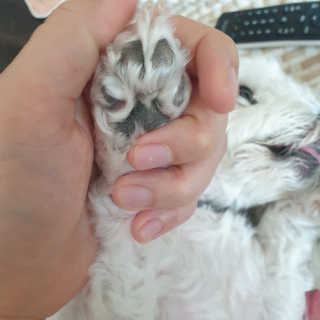 도르도르님이 올린 리뷰 사진 2