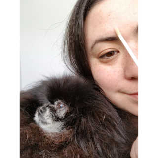 Peepingpomeranian님이 올린 리뷰 사진 2