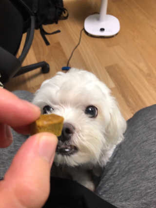 도미노님이 올린 리뷰 사진 2