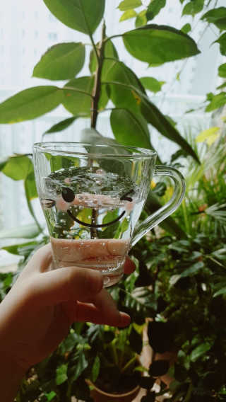일화 아임톡 탄산수 355ml X 24캔 — 5점을 준 리뷰어가 2020년 4월 올린 사용 사진
