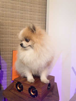 밍크마마님이 올린 리뷰 사진 3