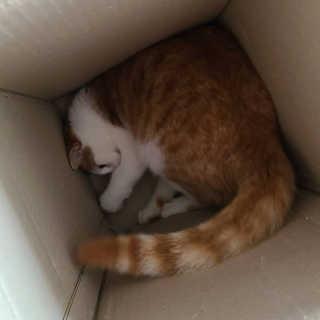 bemarie님이 올린 리뷰 사진 2