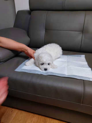 SieunBae님이 올린 리뷰 사진 3