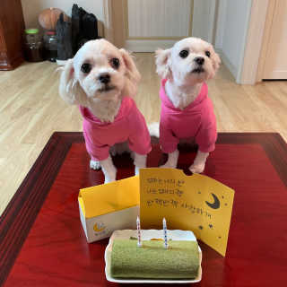 지니이쁘닝님이 올린 리뷰 사진 1