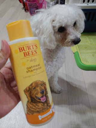 햇님달님님이 올린 리뷰 사진 2