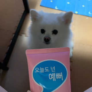 IO 아이오 오늘도 넌 예뻐 - 데일리딥 클렌징폼 — 5점을 준 리뷰어가 2020년 12월 올린 사용 사진