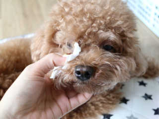최정임님이 올린 리뷰 사진 3