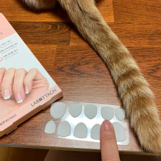 봄님이 올린 리뷰 사진 4