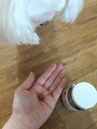 둥이맘님이 올린 리뷰 사진 4