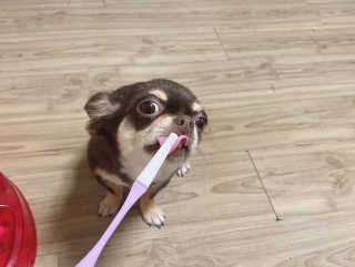 세로롱님이 올린 리뷰 사진 2