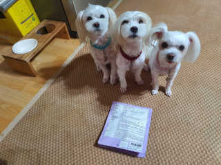 My Pet Care 천연단백질 치아건강에 개좋아 — 4점을 준 리뷰어가 2020년 11월 올린 사용 사진
