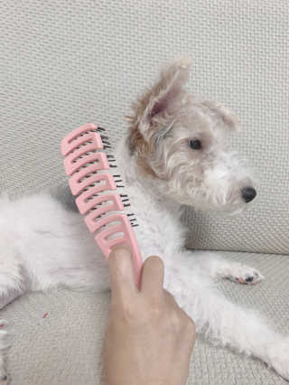 솜솜이2님이 올린 리뷰 사진 4