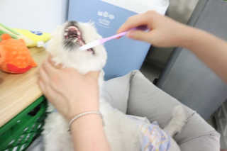 오들희님이 올린 리뷰 사진 3