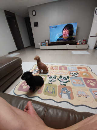 베누지오 베이비버스 워셔블  자카드 카페트 소형 — 5점을 준 리뷰어가 2020년 5월 올린 사용 사진