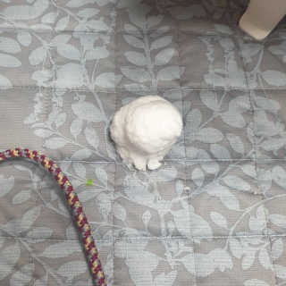 삼성우승님이 올린 리뷰 사진 4