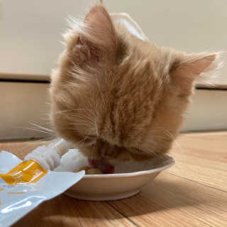 앙주비님이 올린 리뷰 사진 1