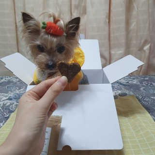솜희님이 올린 리뷰 사진 3