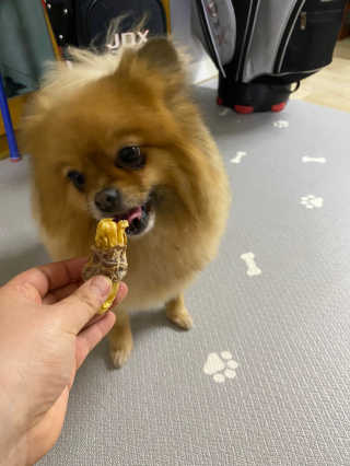 눕히님이 올린 리뷰 사진 2
