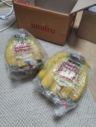 [스미후루] 감숙왕 바나나 2팩 2.6kg 이벤트 — 4점을 준 리뷰어가 2020년 9월 올린 사용 사진
