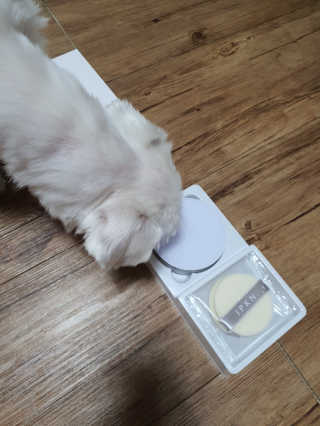 뽀오오옹님이 올린 리뷰 사진 3