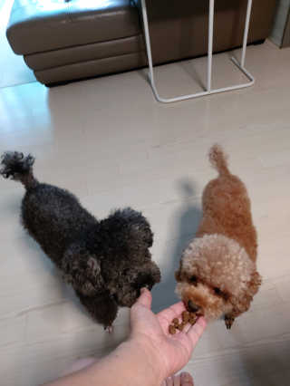 몽이님이 올린 리뷰 사진 3