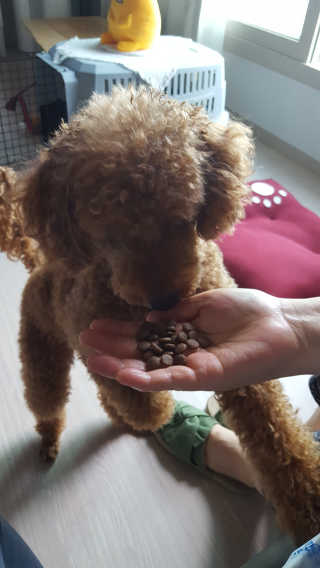 선인장님이 올린 리뷰 사진 3