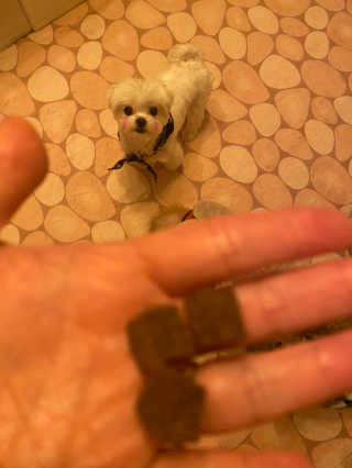 My Pet Care 천연단백질 눈건강에 개좋아 — 3.5점을 준 리뷰어가 2020년 12월 올린 사용 사진