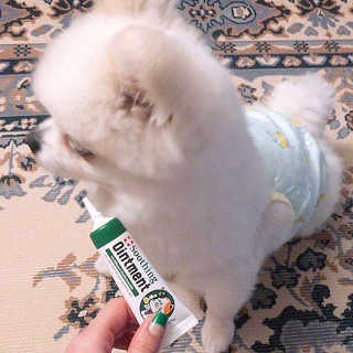 백설님이 올린 리뷰 사진 2
