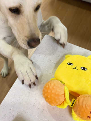 정봐기린님이 올린 리뷰 사진 1