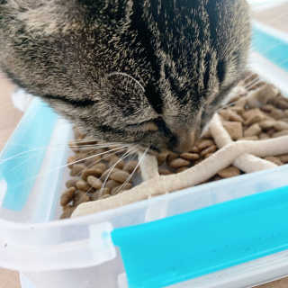 나기님이 올린 리뷰 사진 4