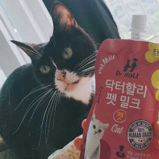 스텔라님이 올린 리뷰 사진 1