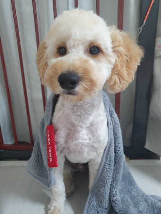 xkdidhqk님이 올린 리뷰 사진 4