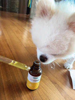 리디아은서님이 올린 리뷰 사진 4
