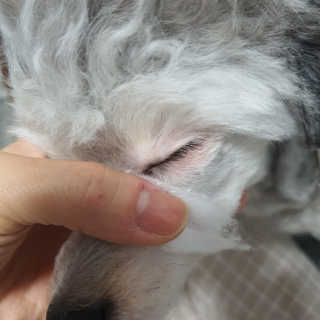 김이설님이 올린 리뷰 사진 2