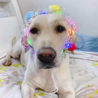 Lilly❤️님이 올린 리뷰 사진 3