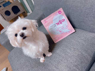 My Pet Care 천연단백질 관절건강에 개좋아 — 5점을 준 리뷰어가 2020년 11월 올린 사용 사진