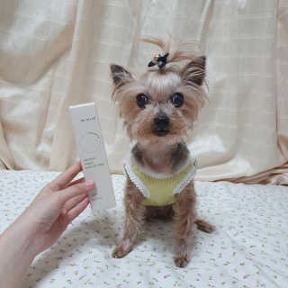 솜희님이 올린 리뷰 사진 4