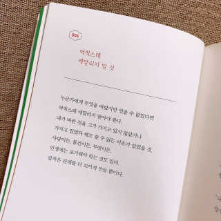 콩이님이 올린 리뷰 사진 4