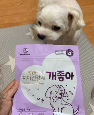 My Pet Care 천연단백질 치아건강에 개좋아 — 5점을 준 리뷰어가 2020년 11월 올린 사용 사진