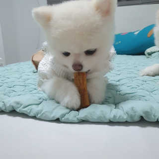 현이님이 올린 리뷰 사진 3